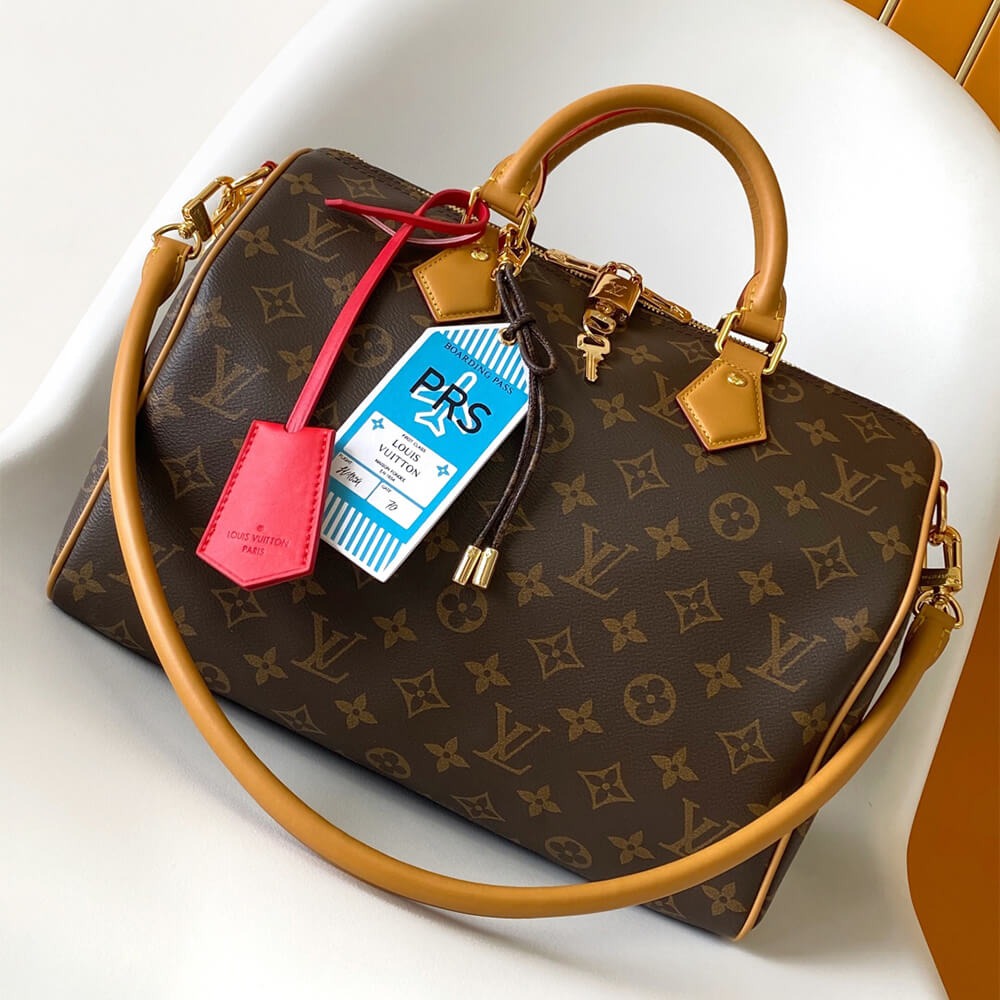 LV Speedy Soft 30 Crafty