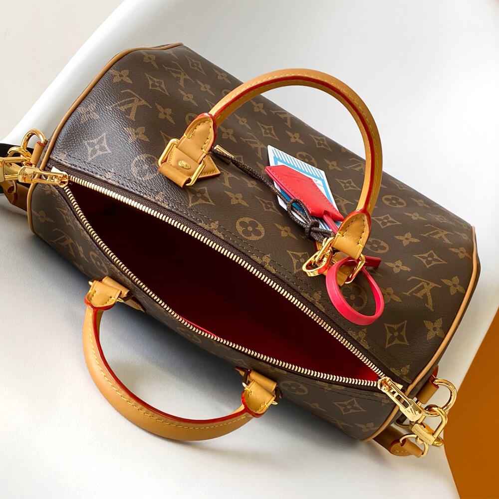 LV Speedy Soft 30 Crafty
