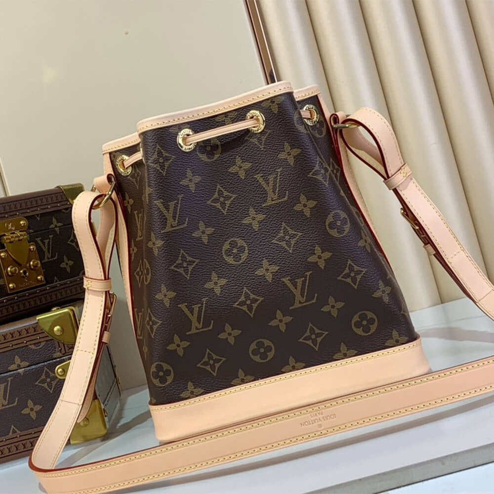 LV Noé BB