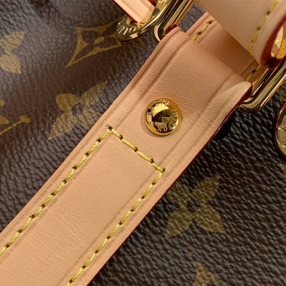 LV Noé BB