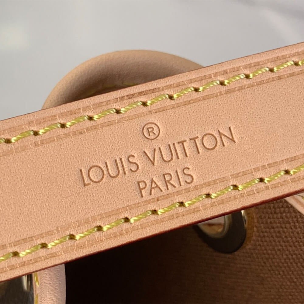 LV Noé BB